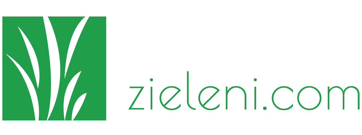 Odcienie Zieleni