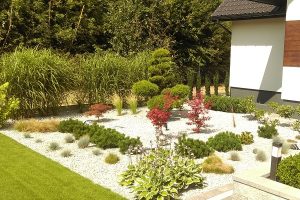 Zakładanie ogrodów