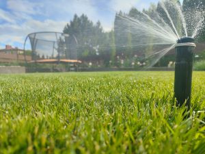 Systemy automatycznego nawadniania